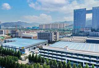 徐汇区办公室绿化养护施工方案