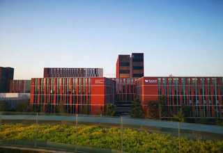 珠海直塑水泥假山多少钱