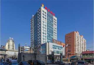 奉贤区品质城市绿化服务商收费